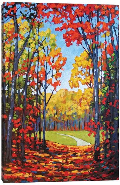 Autumn Path VIII Canvas Art Print - Patty Baker