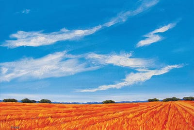 Big Sky over the Plains by Patty Baker canvas print