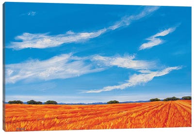 Big Sky over the Plains Canvas Art Print - Patty Baker