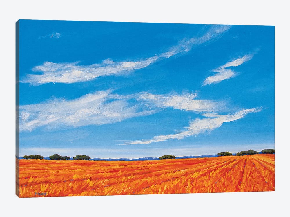 Big Sky over the Plains by Patty Baker 1-piece Canvas Artwork
