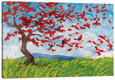 Blustery Day Canvas Art Print - Patty Baker