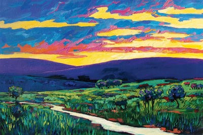 Bouler County Landscape by Patty Baker art print