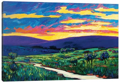 Bouler County Landscape Canvas Art Print - Patty Baker