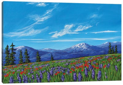Colorado High Country Wildflowers Canvas Art Print - Hill & Hillside Art