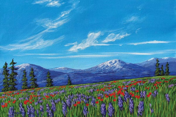Patty Baker: Colorado High Country Wildflowers by Patty Baker