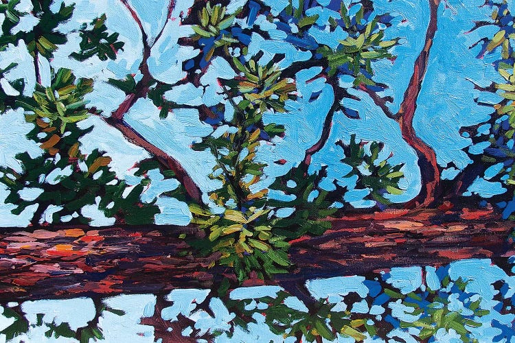 Colorado Pine by Patty Baker wall art