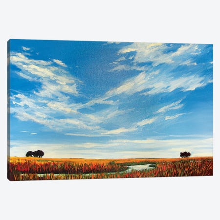 Creek On the Plains with Big Sky Canvas Print #PTB179} by Patty Baker Art Print