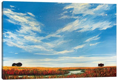 Creek On the Plains with Big Sky Canvas Art Print - Patty Baker