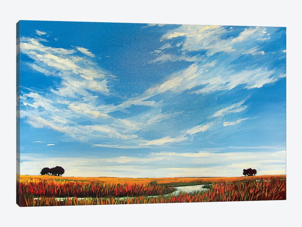 Creek On the Plains with Big Sky by Patty Baker 1-piece Art Print