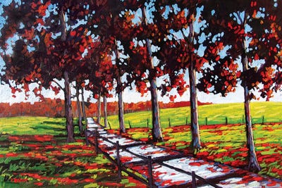 Driveway off River Road, Rhinebeck, NY by Patty Baker art print