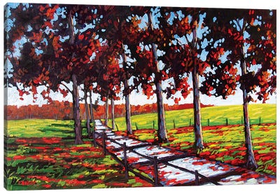 Driveway off River Road, Rhinebeck, NY Canvas Art Print - Patty Baker