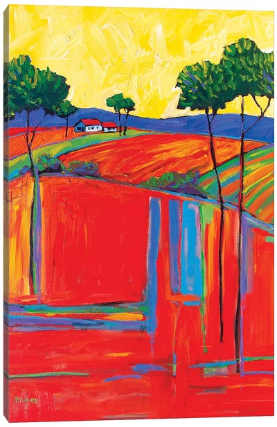 Fields In Fauve I Canvas Art Print - All Things Matisse