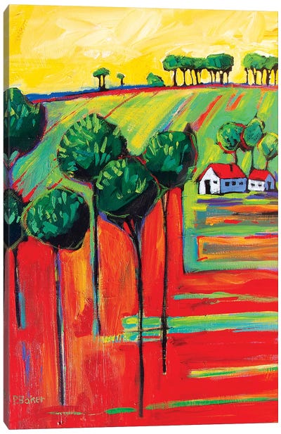 Fields In Fauve II Canvas Art Print - Patty Baker