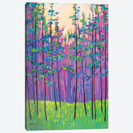 Forest Landscape Canvas Print #PTB189} by Patty Baker Canvas Artwork