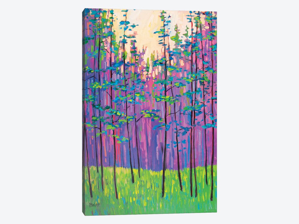 Forest Landscape by Patty Baker 1-piece Canvas Art