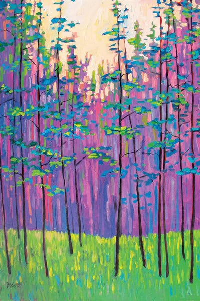 Enchanted Forests: Forest Landscape by Patty Baker