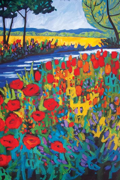 Tulips: Garden Path by Patty Baker