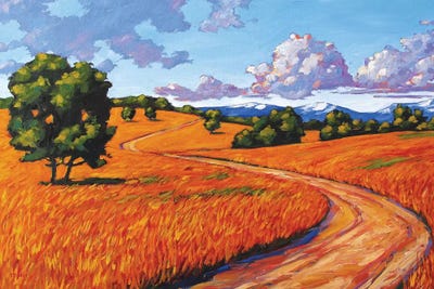 Gold Hill, Boulder County by Patty Baker art print