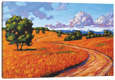 Gold Hill, Boulder County Canvas Art Print - Patty Baker