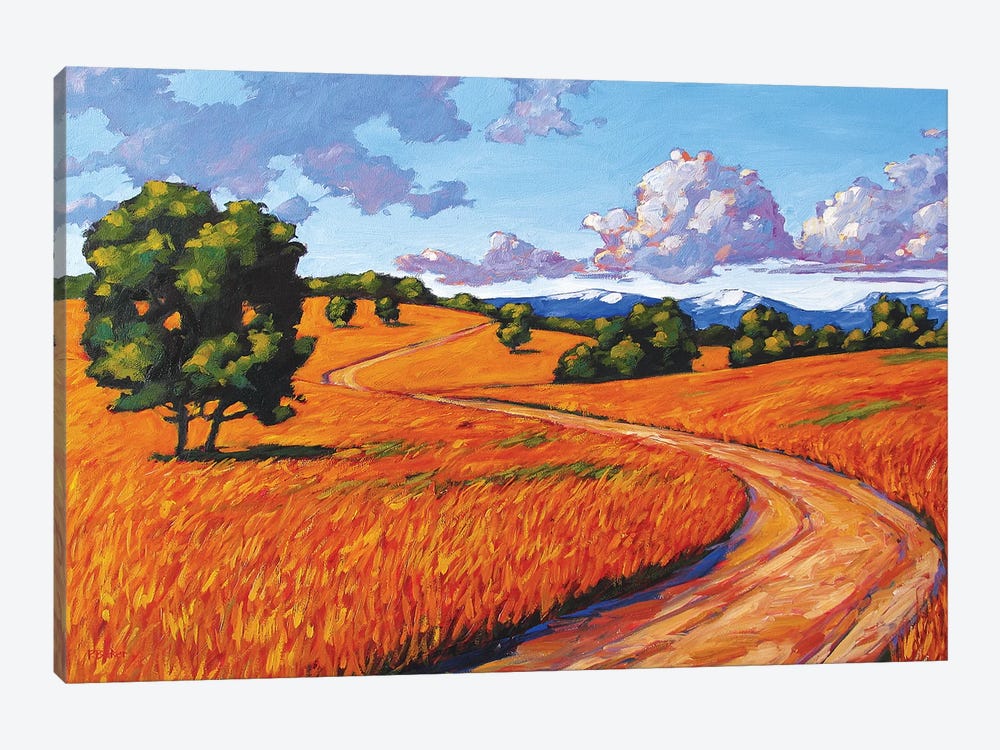 Gold Hill, Boulder County by Patty Baker 1-piece Canvas Art Print