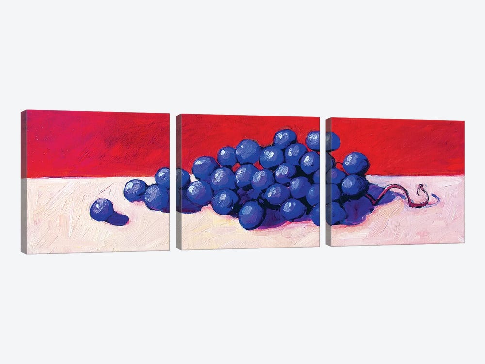 Grapes by Patty Baker 3-piece Canvas Artwork