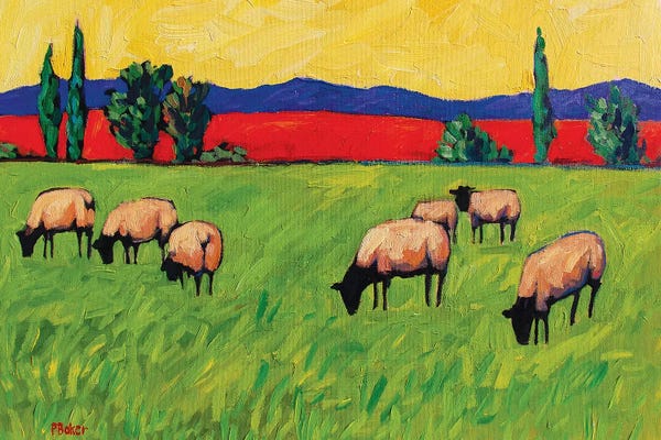 Patty Baker: Grazing Sheep  by Patty Baker