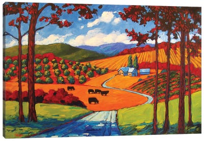 I-25 Young America Road Cows Canvas Art Print - Patty Baker