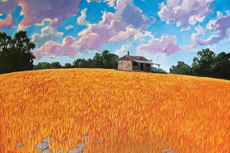 Landscape Under Purple Clouds