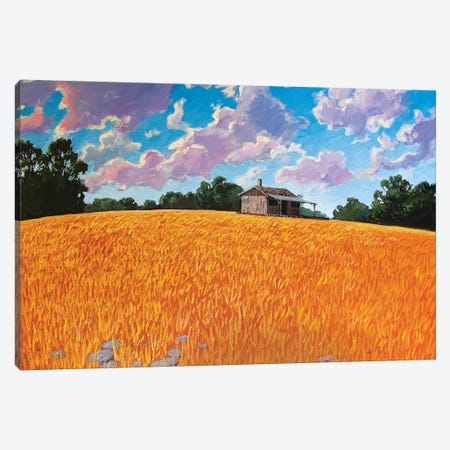 Landscape Under Purple Clouds Canvas Print #PTB198} by Patty Baker Art Print