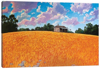 Landscape Under Purple Clouds Canvas Art Print - Orange Art