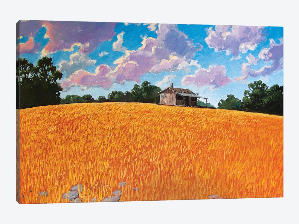 Landscape Under Purple Clouds by Patty Baker 1-piece Canvas Artwork
