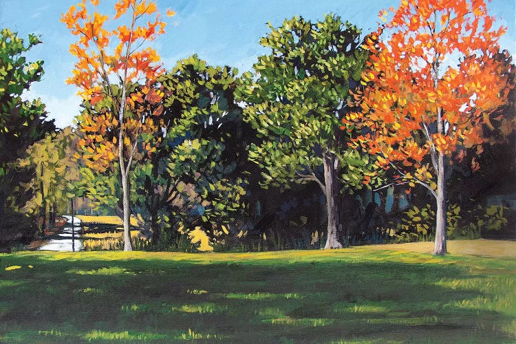 Park Landscape by Patty Baker wall art