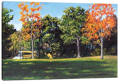 Park Landscape Canvas Art Print - Patty Baker