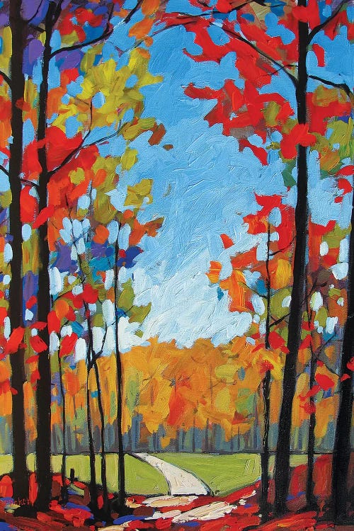 Path Near Old Kinderhook by Patty Baker wall art