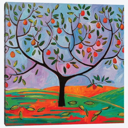 Pear Tree Canvas Print #PTB203} by Patty Baker Canvas Print
