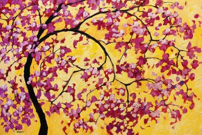 Pink Blossoms On Yellow by Patty Baker art print