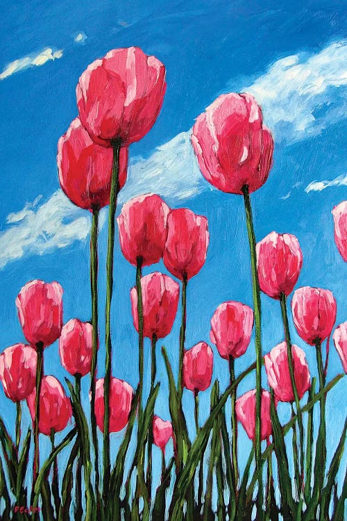 Pink Tulips and Blue Sky