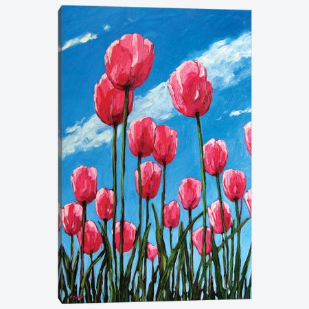 Pink Tulips and Blue Sky Canvas Print #PTB205} by Patty Baker Canvas Wall Art