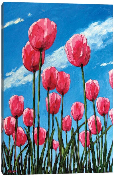 Pink Tulips and Blue Sky Canvas Art Print - Patty Baker