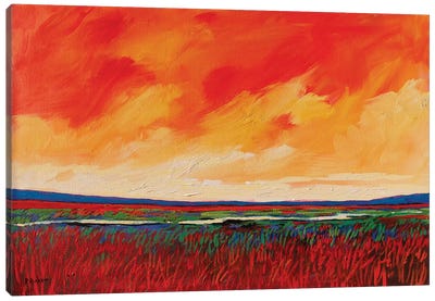 Puerco River, New Mexico Canvas Art Print - Patty Baker