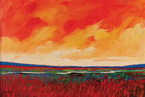 The New West Movement: Puerco River, New Mexico by Patty Baker