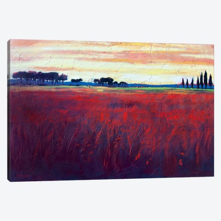 Red Field and Yellow Sky  Canvas Print #PTB207} by Patty Baker Canvas Art