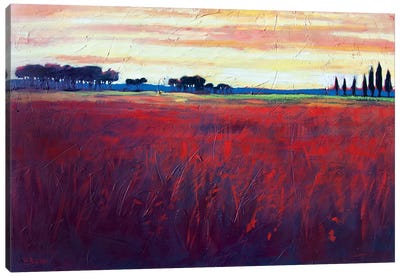 Red Field and Yellow Sky  Canvas Art Print - Patty Baker