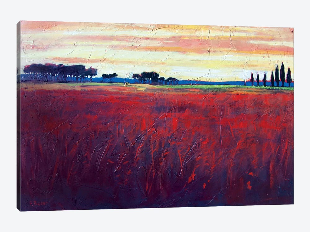 Red Field and Yellow Sky  by Patty Baker 1-piece Canvas Art