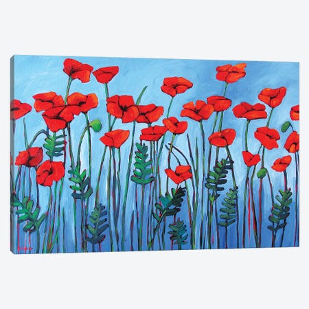 Red Poppies Canvas Print #PTB208} by Patty Baker Canvas Art Print