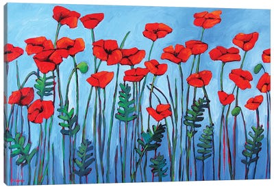 Red Poppies Canvas Art Print - Patty Baker