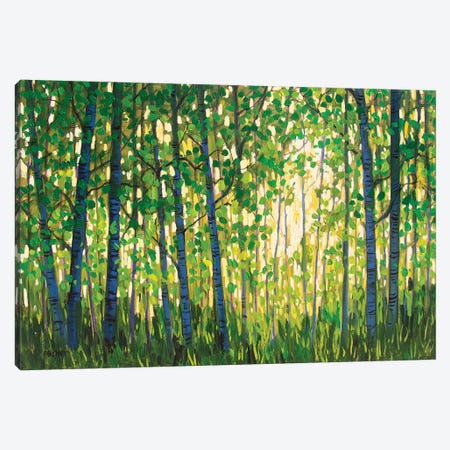 Spring Forest Canvas Print #PTB214} by Patty Baker Art Print