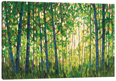 Spring Forest Canvas Art Print - Patty Baker