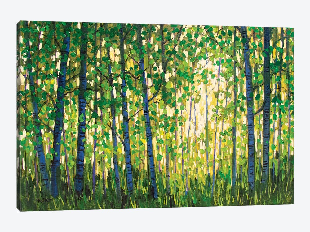 Spring Forest by Patty Baker 1-piece Canvas Wall Art