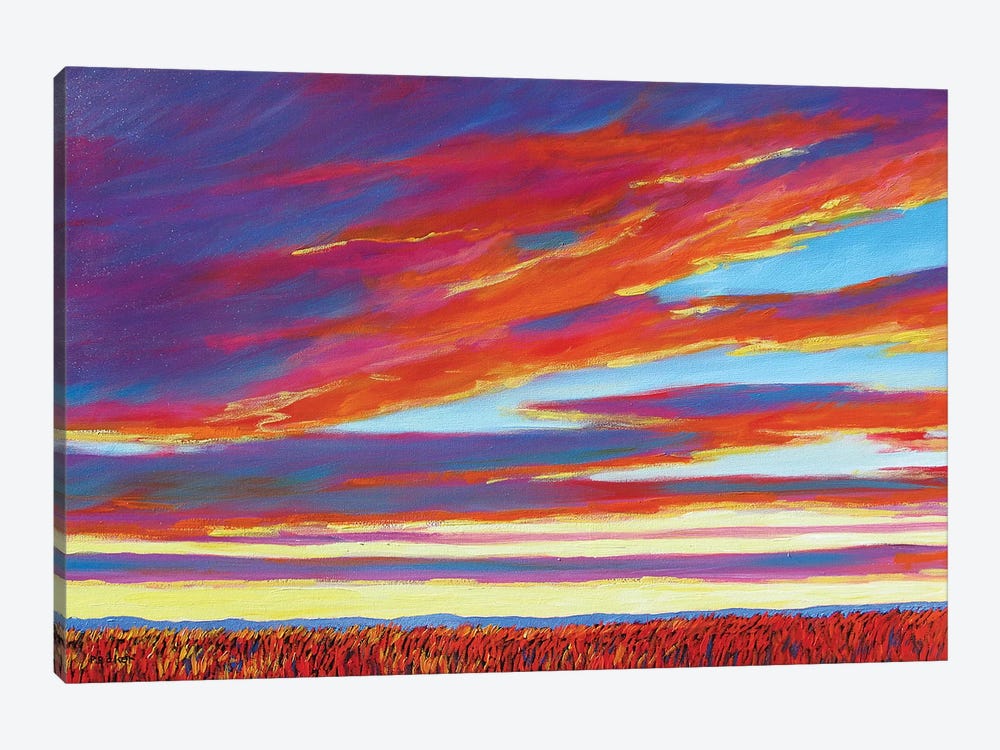 Sunset Over the Plains by Patty Baker 1-piece Canvas Artwork